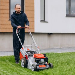 Tondre la pelouse - Doneed service